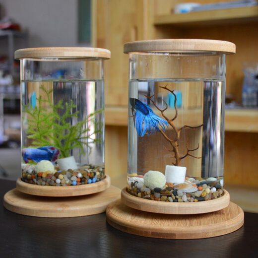 Desktop Bamboo Glass Mini Aquarium Bowl