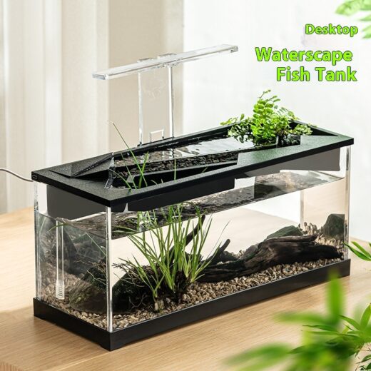All-in-One Acrylic Aquarium with Filter, Heater & Light