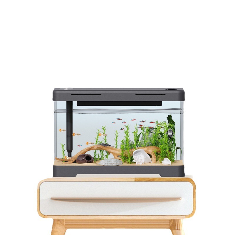 Transparent acrylic desktop fish tank view 2