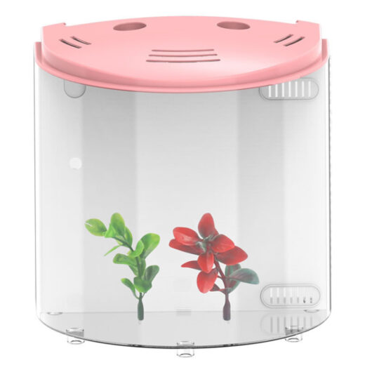 Ecological Acrylic Desktop Aquarium