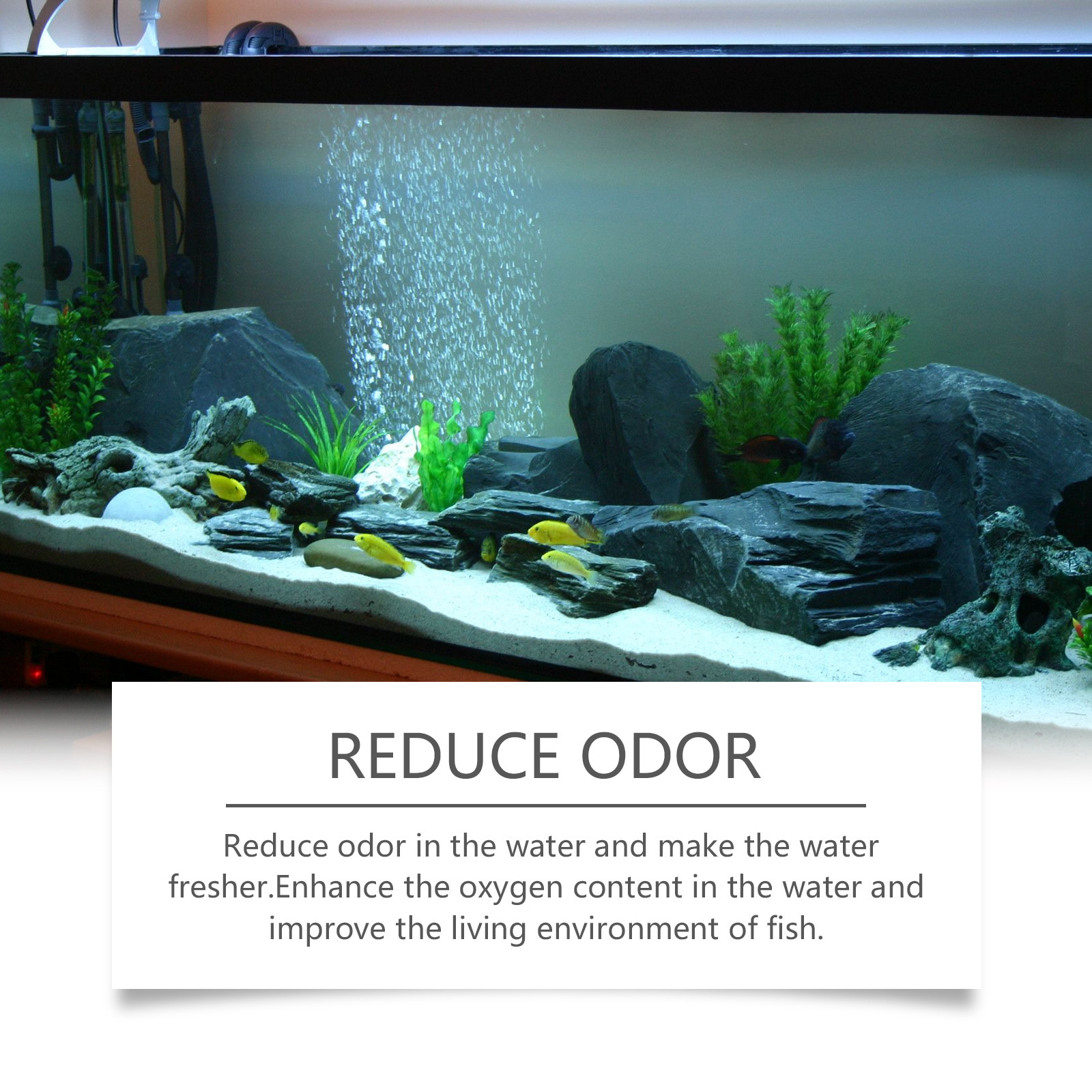 Aquarium Water Decontamination Cleaner – product view 3