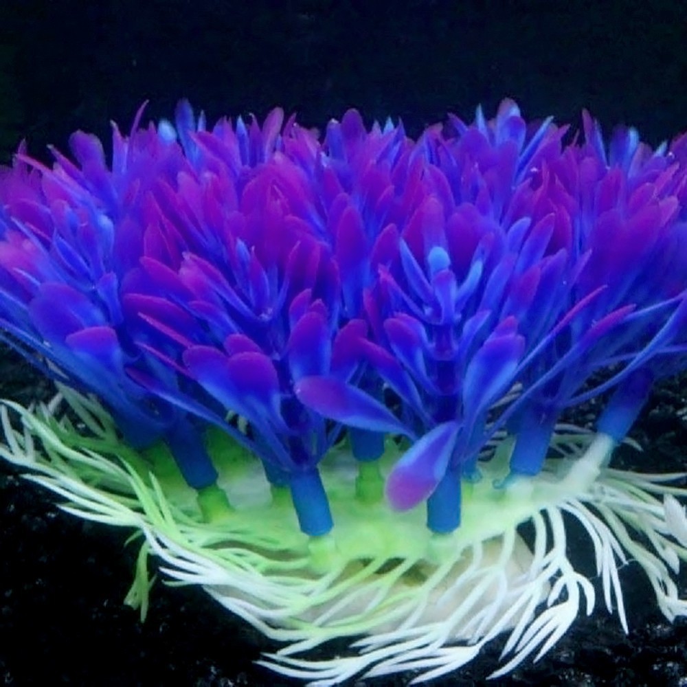 Blue Artificial Aquarium Plant Ornament – 10 cm – product view 4