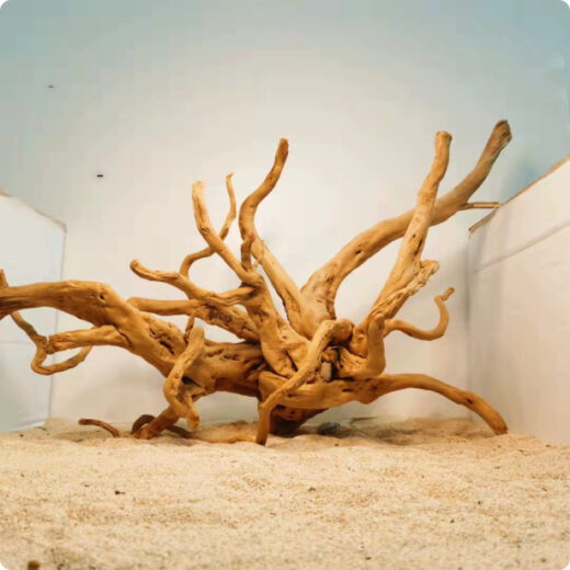 Xiaoqi Root Fish Tank Scenery Decoration Ornaments