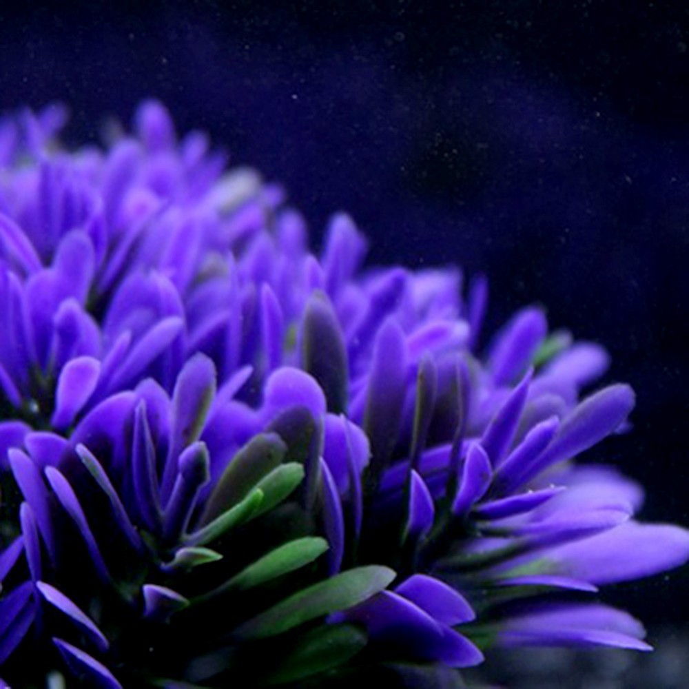 Blue Artificial Aquarium Plant Ornament – 10 cm – product view 3