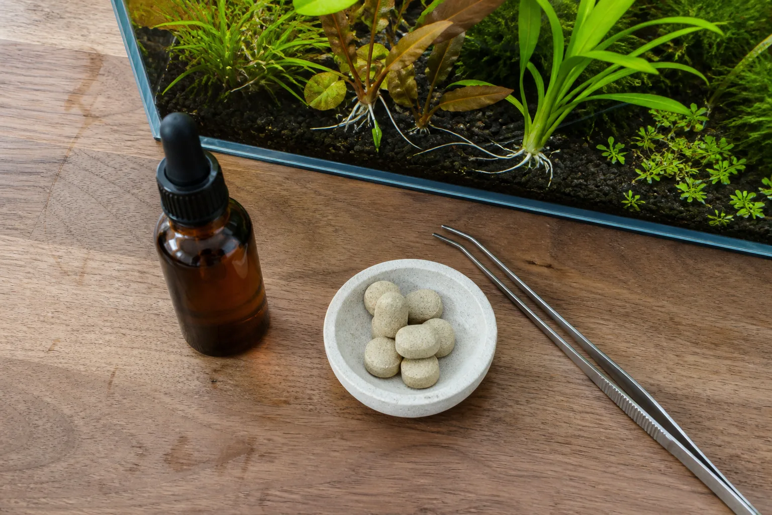 Liquid fertilizer bottle and root tabs beside a planted aquarium